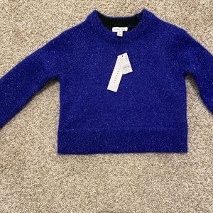 Sparkly Blue Cropped Sweater (Topshop)